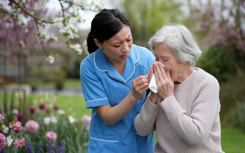 Spring Allergies and Seniors: How to Keep Your Employer Comfortable